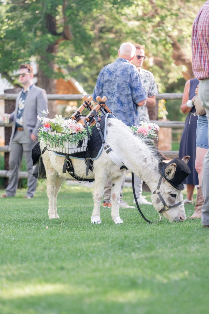 Wedding beverage burro