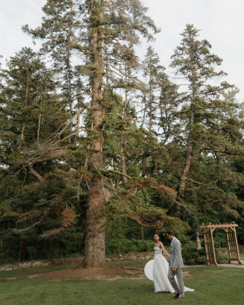 wedding couple in virginia trees near wedding venue in leesburg virginia