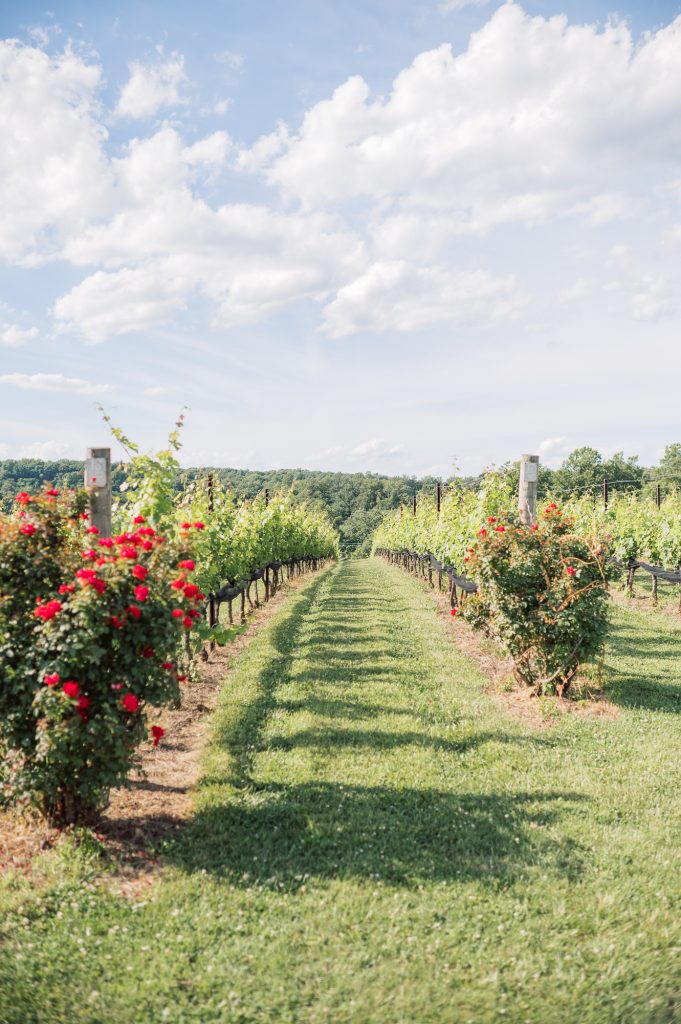 upscale virginia winery for wedding location