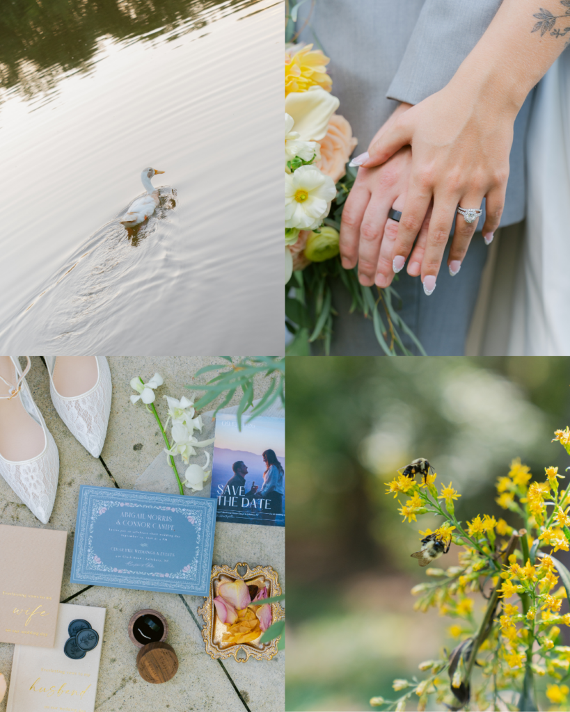 Wedding detail collage featuring a duck on a pond, Abby and Connor's wedding rings, blue invitation stationery, bridal shoes, and bees on yellow flowers.